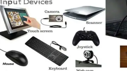 What are Three Common Input Devices Found on Laptops