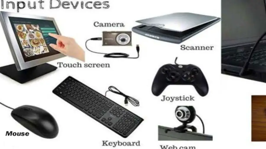 What are Three Common Input Devices Found on Laptops