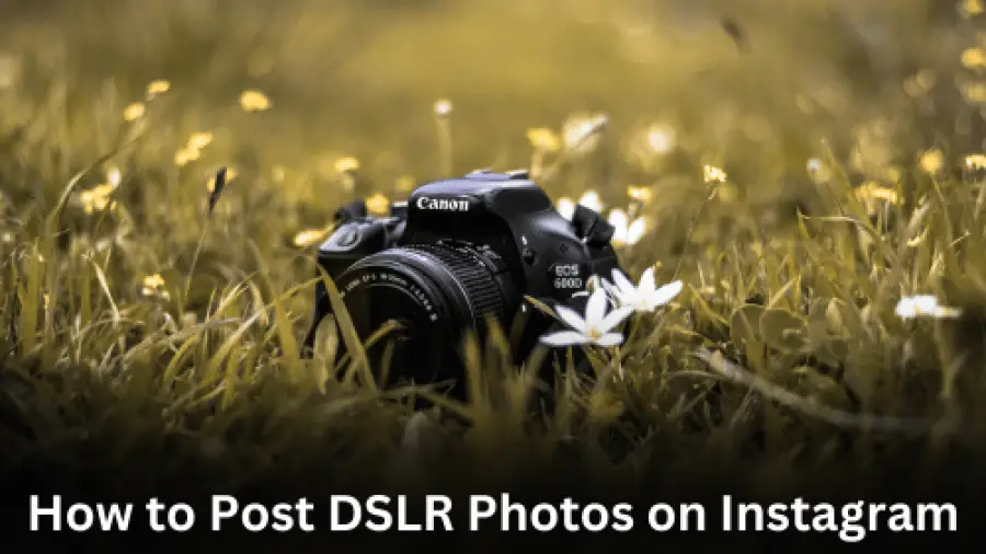 How to Post DSLR Photos on Instagram