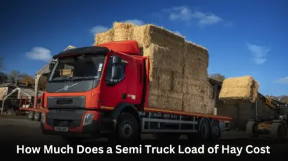 How Much Does a Semi Truck Load of Hay Cost