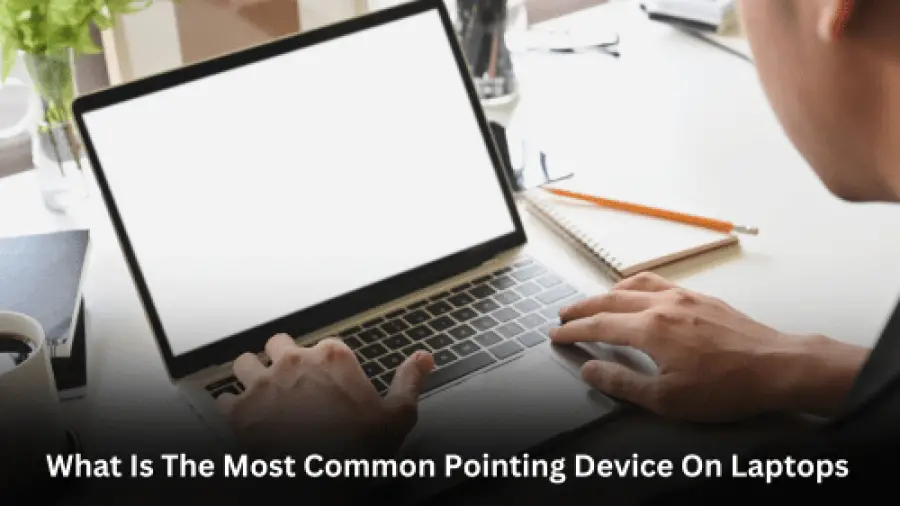 What Is The Most Common Pointing Device On Laptops