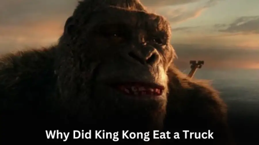 Why Did King Kong Eat a Truck