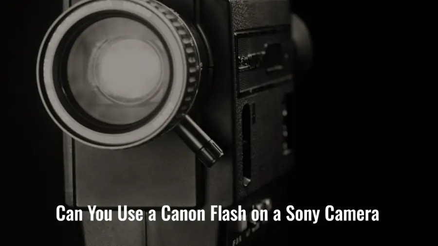 Can You Use a Canon Flash on a Sony Camera