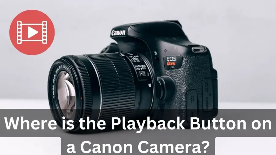 Playback Button on a Canon Camera