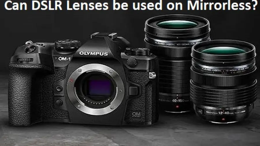 Can DSLR Lenses Be Used on Mirrorless?
