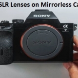 Can You Use DSLR Lenses on Mirrorless Camera