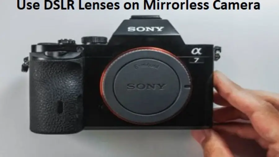 Can You Use DSLR Lenses on Mirrorless Camera