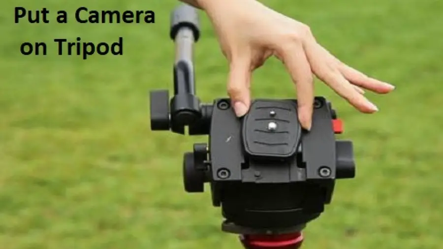 How to Put a Camera on a Tripod