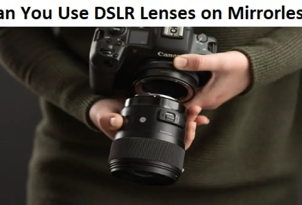 Can you use DSLR lenses on mirrorless